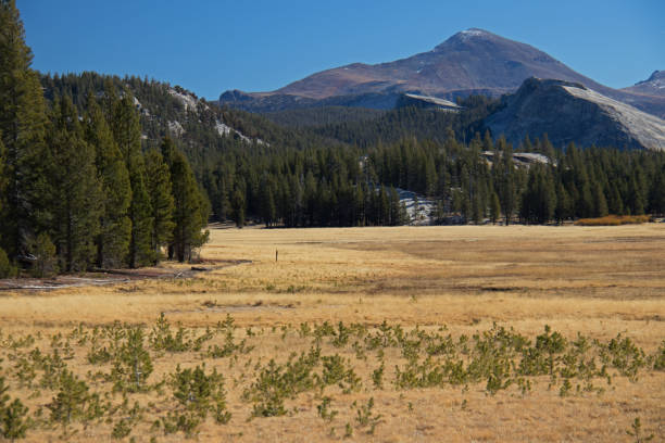 istock landscape with mountains and meadow 1314194730