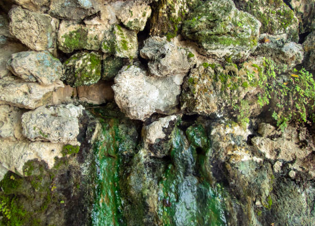 Various sized rocks with green algea is a nice background pattern. These were discovered in Arkansas. Bokeh.