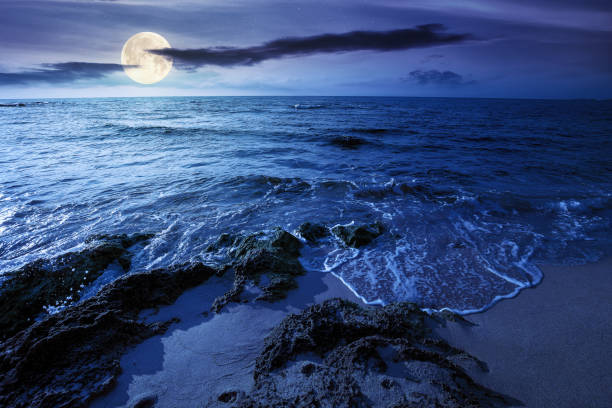 istock seascape on a sunny morning at night 1314196378
