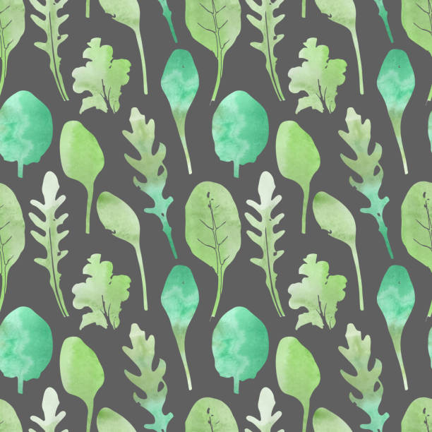 акварель бесшовные шаблон - backgrounds lettuce agriculture botany stock illustrations