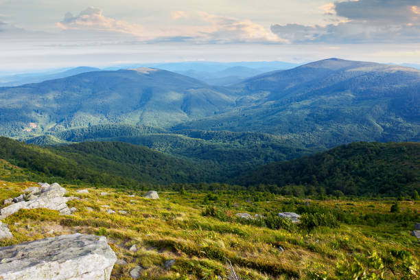 istock landscape of carpathian mountains 1314196966