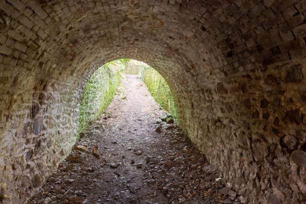 istock Fairytale tunnels on the South West Coastpath 1314199726