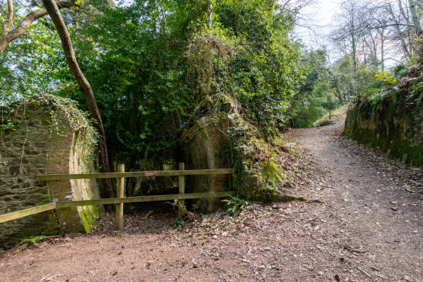 istock Fairytale tunnels on the South West Coastpath 1314200489