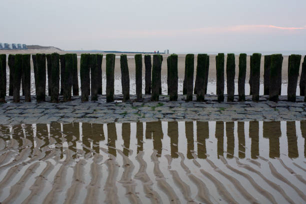 Beach in Cadzand, The Netherlands