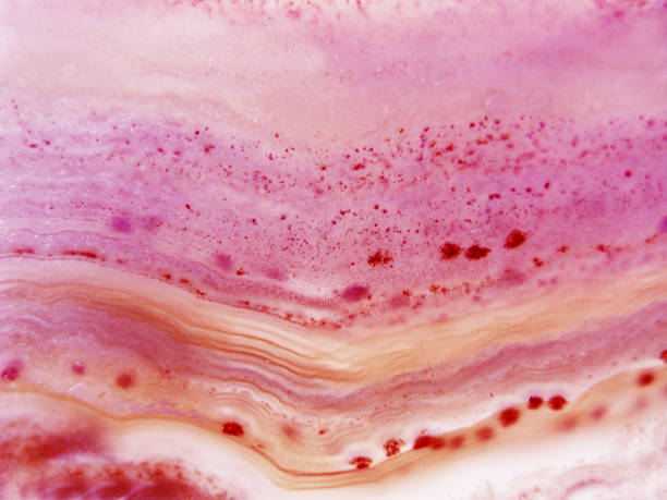 istock botswana agate chalcedony quartz macro detail semigem geological mineral texture background 1314203257