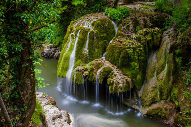 istock Bigar waterfall, Nera Gorge National Park, Romania 1314203512