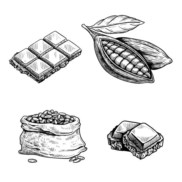 kakao ve çikolata seti. elle çizilmiş çizimler. çikolata ve parçalar, kakao baklası ve kakaolu fasulye torbası. retro stil vektör illüstrasyonlar koleksiyonu. - chocolate stock illustrations