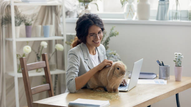 Smiling young woman taking break at work playing with rabbit