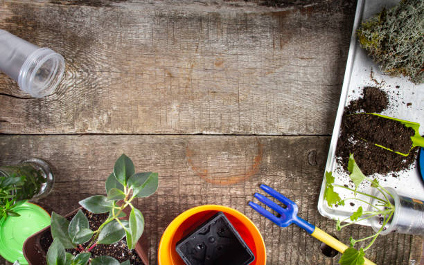 istock Rustic background from old boards with accessories for home gardening or floriculture, copy space. 1314207807