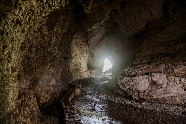 istock Unguru Mare cave, Suncuius, Oradea, Bihor 1314209212