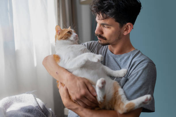 istock young man holds a brown and white cat in his arms 1314211046