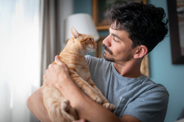istock young man and brown tabby cat smell each other . close up 1314211051