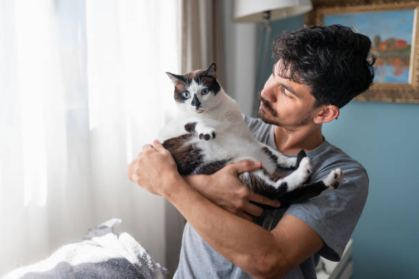 istock young man hugs a black and white cat  with blue eyes 1314211084