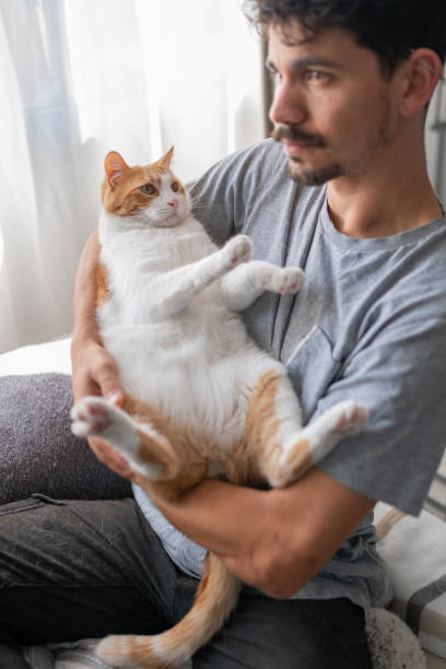 istock young man holds a brown and white cat in his arms 1314211281