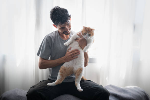 istock young man sitting by the window, interacts with a brown and white cat 1314211287