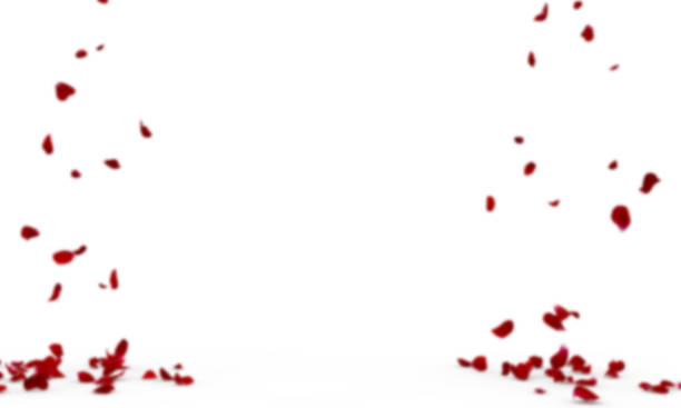 istock Red rose petals on a blurry background fly and fall to the floor. Blurred background 1314212321