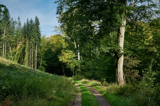 istock Hiking on the 