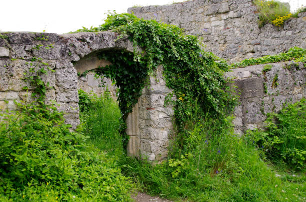 istock Ruin swabian alps 1314218348