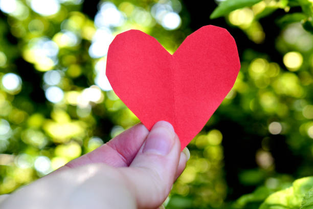 istock Human hand holding red paper heart in park 1314218526