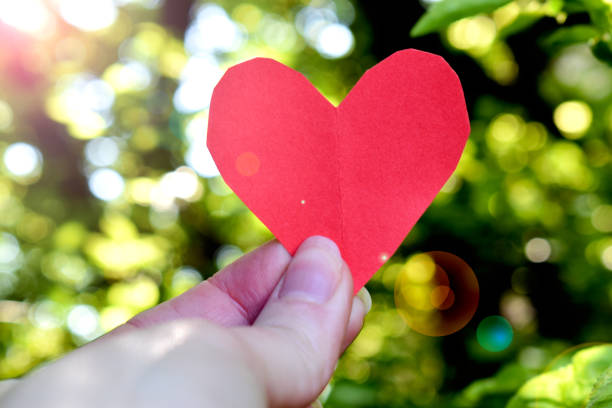 istock Human hand holding red paper heart in park 1314218583