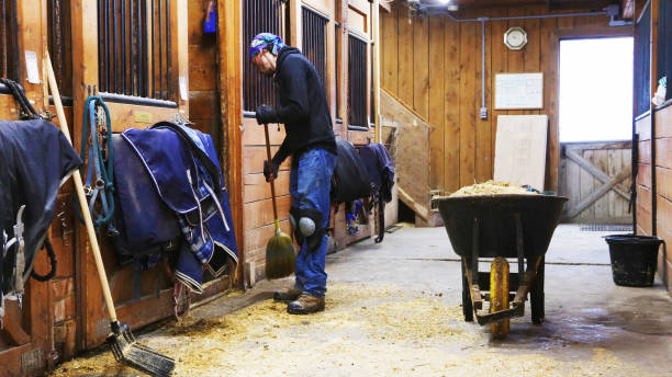 jovem emariras do piso do estábulo equestre e porta de cabine deslizante - horse dung - fotografias e filmes do acervo