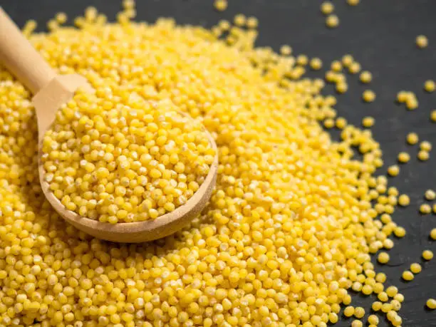 Photo of Millet. Millet in a wooden spoon and bowl on a wooden kitchen table