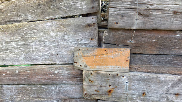 istock Sea facing fence repaired with driftwood 1314227199