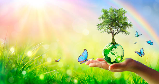 istock Tree On Planet - Environment Concept - Hand Holding Green Globe With Butterflies 1314229836