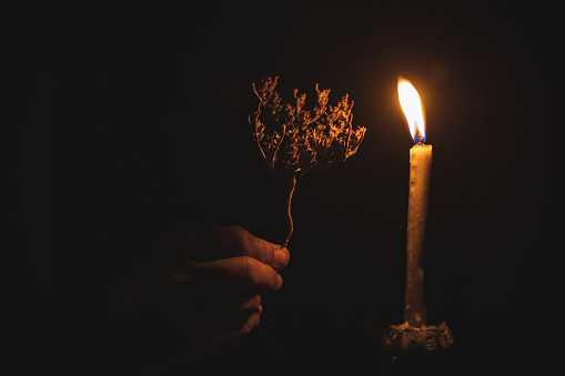 The tale of a flower and a candle in dark.