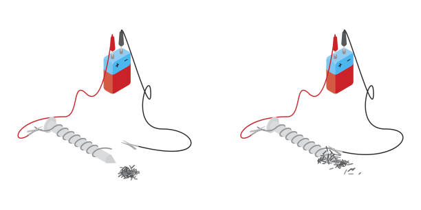electromagnet experiment Electromagnet experiment images sequence. Electromagnet made of a nail and coil of a wire, connected to a battery, vector illustration isolated on white background. magnetic field stock illustrations