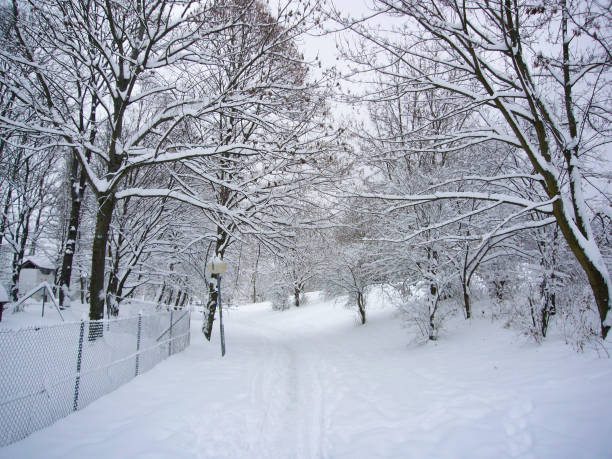 Magical Snowy Christmas Winter Wonderland in Jackson, Ohio on Christmas Day in 2020