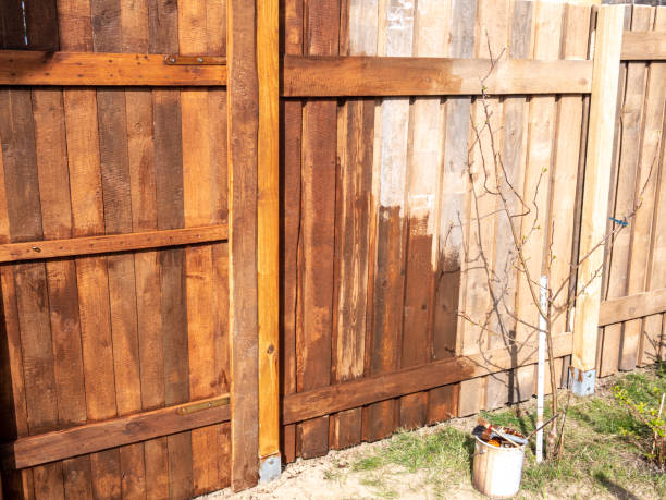 istock Fence is repainted in the garden 1314234998