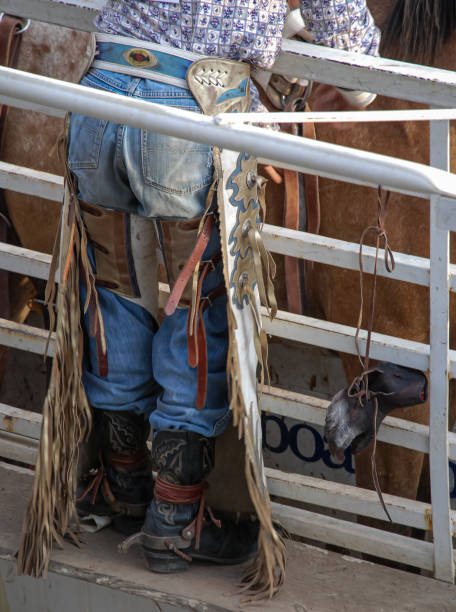 cowboy w: a rodeo - cowboy horseback riding nature blue zdjęcia i obrazy z banku zdjęć