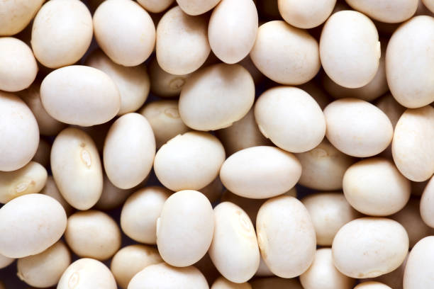 istock White bean butter bean lima pile vegetable texture background macro closeup. Concept of healthy eating protein diet and vegetarianism. 1314236938