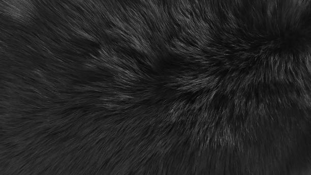 ファーフロアデザイン。黒黒灰色の毛皮の背景。 - softness wildlife horizontal black and white ストックフォトと画像