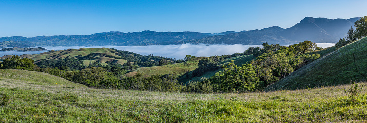 The rolling hills of Pepperwood Preserve looking toward the East. Pepperwood Nature Preserve; Santa Rosa;  Sonoma County, California