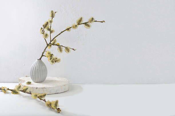 istock Delicate pussy willow flowers in a vase on a gray background, abstract spring flower arrangement, minimal holiday concept, still life, banner. Easter card, home interior, 1314244890