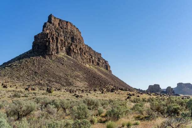 istock Umatilla Rock at Sun Lakes State Park in Washington 1314249887