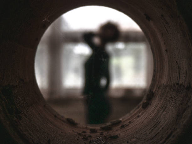 istock female silhouette, seen through a hole, with a spider web 1314253179