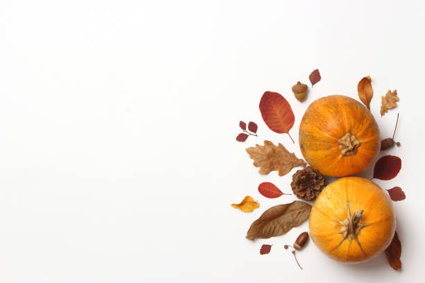 istock autumn composition, autumn leaves 1314254595