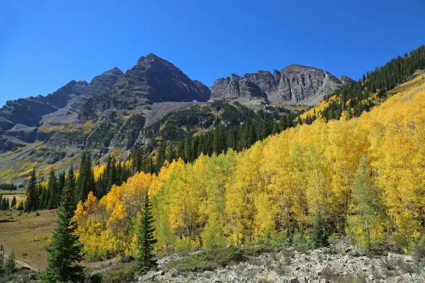 Photo of Maroon Bells behind yellow trees