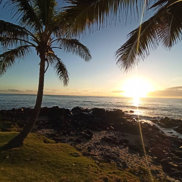 istock Sunrise on the beach 1314259222