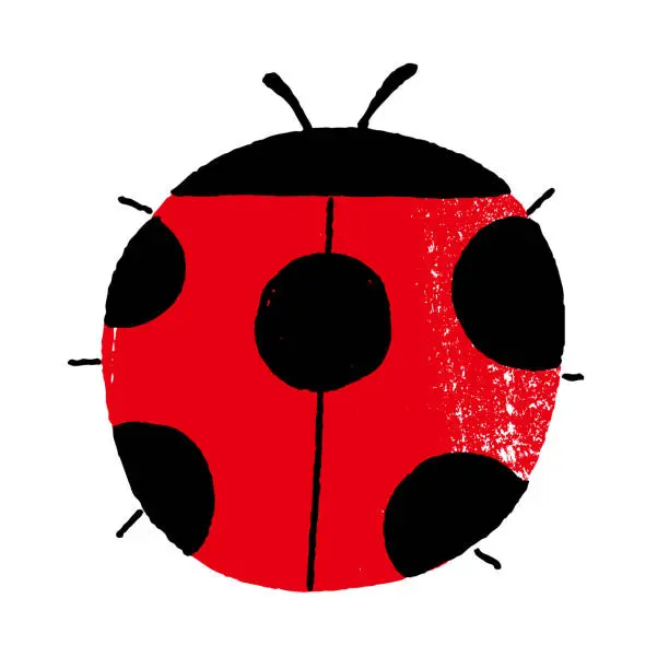 Vector illustration of Cute ladybugs