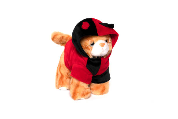 Funny toy cat isolated on white