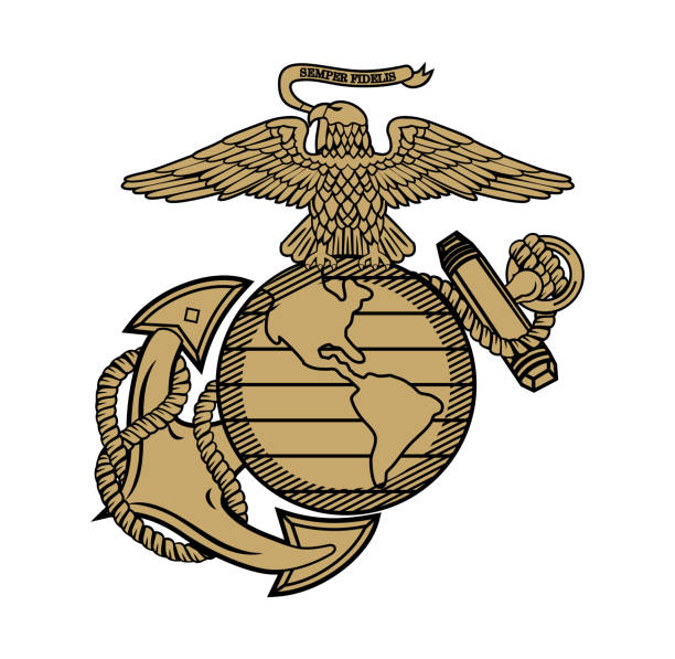 illustrazioni stock, clip art, cartoni animati e icone di tendenza di united state marine corps eagle globe e anchor ega design - marines