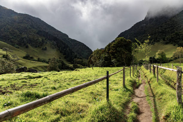 istock Walking in a hiking trail and enjoying the calm before the storm 1314280749