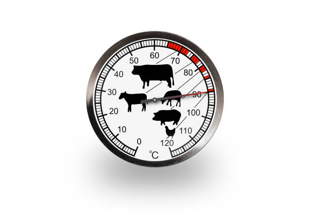 istock Meat thermometer isolated on a white background with soft shadow. The thermometer shows 90 degrees 1314281310