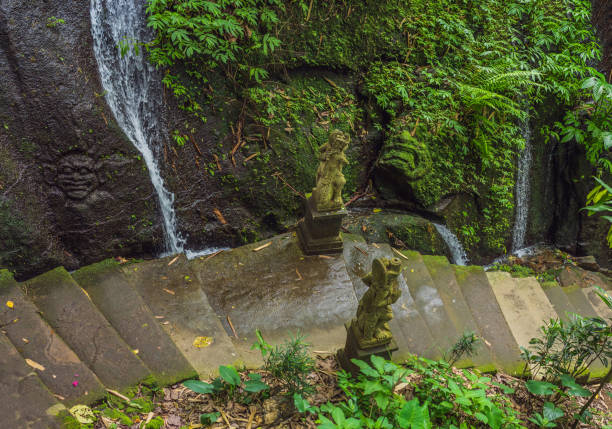 istock Balinese moss Background traveling to Bali concept 1314284679