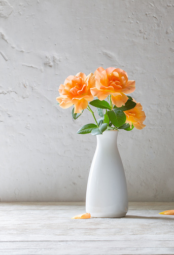 orange roses in vase on background white wall