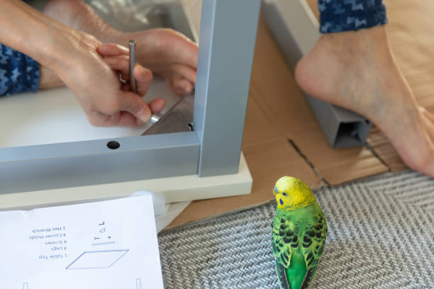 istock Japanese woman making home office with pet 1314286658